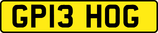 GP13HOG