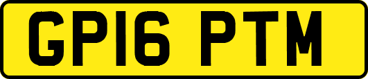 GP16PTM