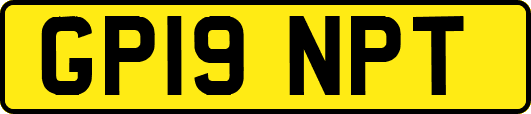 GP19NPT