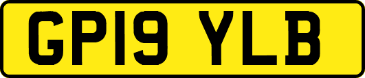 GP19YLB