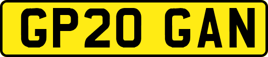 GP20GAN