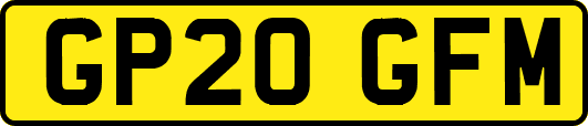 GP20GFM