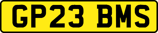 GP23BMS