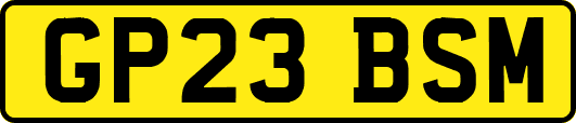 GP23BSM