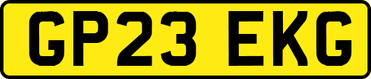 GP23EKG