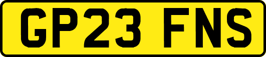 GP23FNS