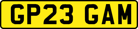 GP23GAM