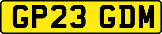 GP23GDM