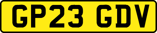 GP23GDV