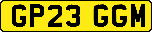 GP23GGM