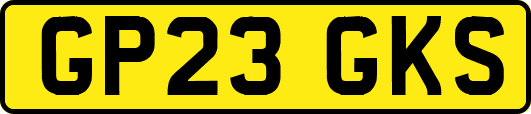 GP23GKS