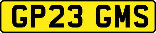GP23GMS