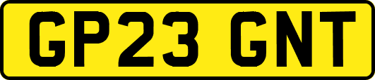 GP23GNT