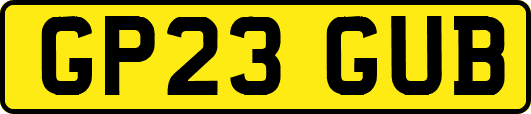 GP23GUB