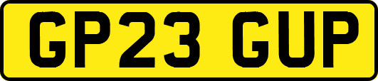 GP23GUP