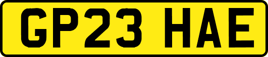 GP23HAE