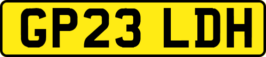 GP23LDH