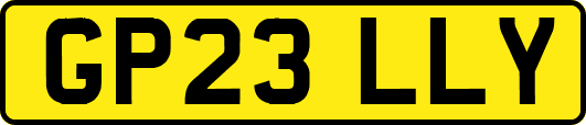GP23LLY