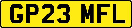 GP23MFL