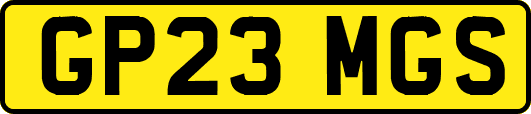 GP23MGS