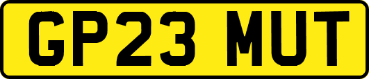 GP23MUT