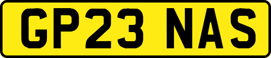 GP23NAS