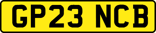 GP23NCB