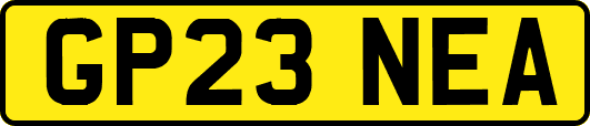 GP23NEA