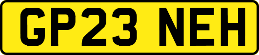 GP23NEH