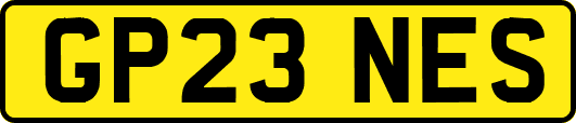 GP23NES