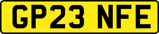 GP23NFE