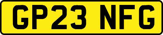 GP23NFG