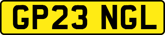 GP23NGL