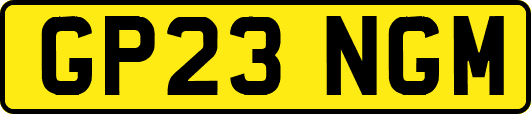 GP23NGM