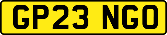GP23NGO