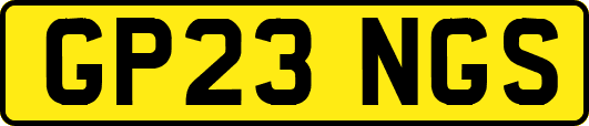 GP23NGS