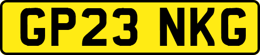 GP23NKG