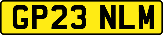GP23NLM