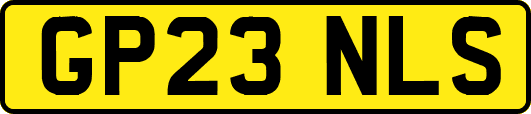 GP23NLS