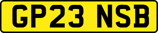 GP23NSB