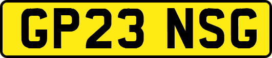 GP23NSG