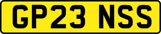GP23NSS