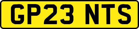 GP23NTS