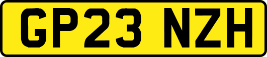 GP23NZH