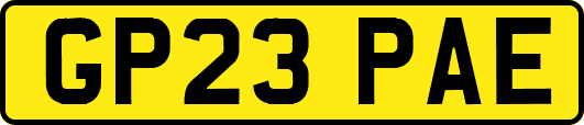GP23PAE