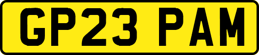 GP23PAM