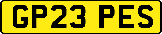 GP23PES