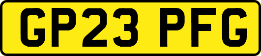 GP23PFG