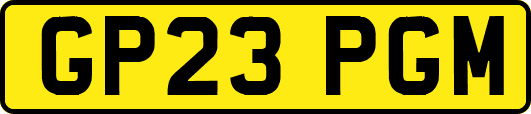 GP23PGM
