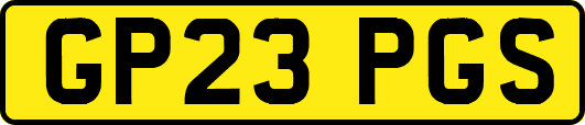 GP23PGS